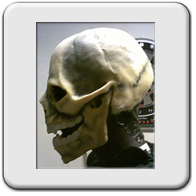 Voll-Maske aus Schaum-Latex. Geeignet für Halloween oder Theater.
